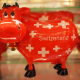 cow, savings bank, red