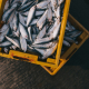 fish, catch, box