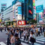 japan-travel-nature-stockpack-pixabay.jpg japan, travel, nature
