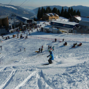 partie sinaia Partie Sinaia