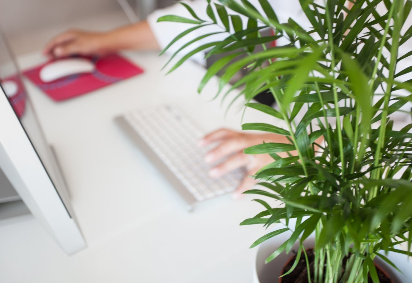 telework-office-entrepreneurs-stockpack-pixabay.jpg telework, office, entrepreneurs