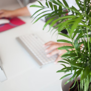 telework-office-entrepreneurs-stockpack-pixabay.jpg telework, office, entrepreneurs