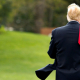 trump quartz Trump Quartz