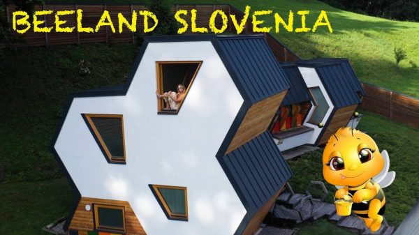 Beeland Slovenia