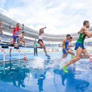 action-athletes-competition-stockpack-pixabay.jpg action, athletes, competition