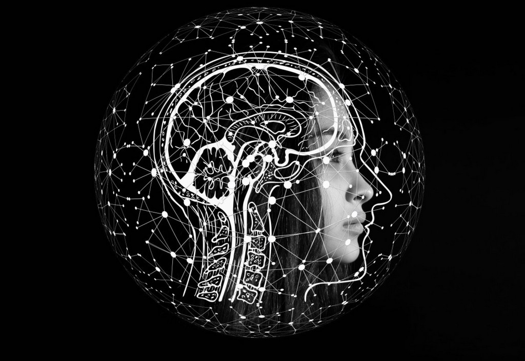 artificial-intelligence-brain-think-stockpack-pixabay.jpg artificial intelligence, brain, think
