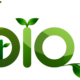 bio-friendly-environment-stockpack-pixabay.png bio, friendly, environment