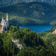 castle, tree, landscape