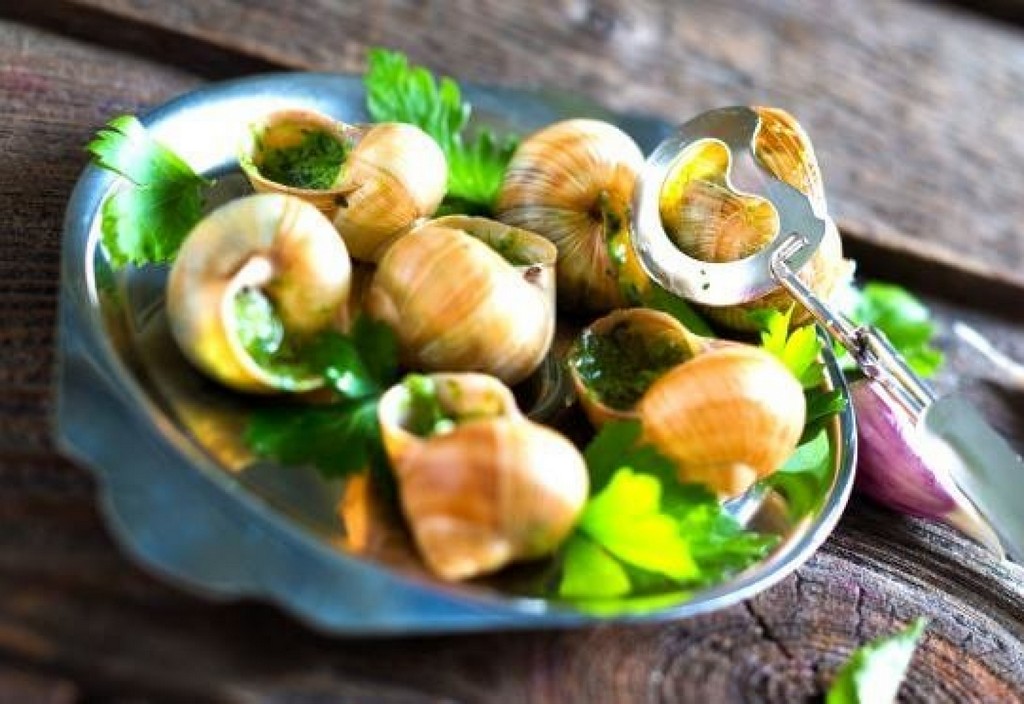 escargot-in-france Escargot In France