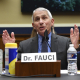 fauci Fauci