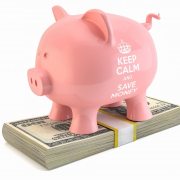 piggybank, dollar, savings