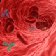 virus-pathogen-antibody-stockpack-pixabay.jpg virus, pathogen, antibody