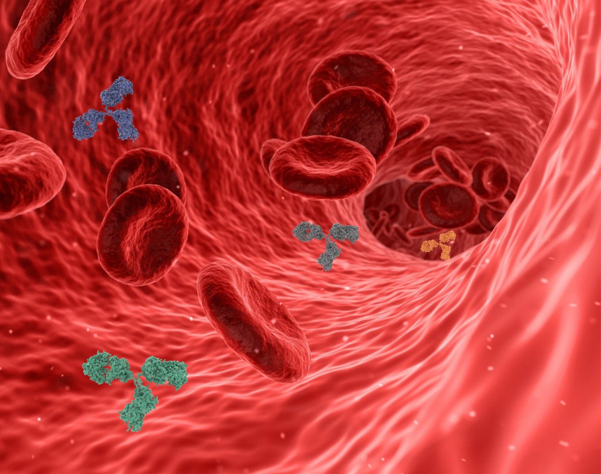 virus-pathogen-antibody-stockpack-pixabay.jpg virus, pathogen, antibody