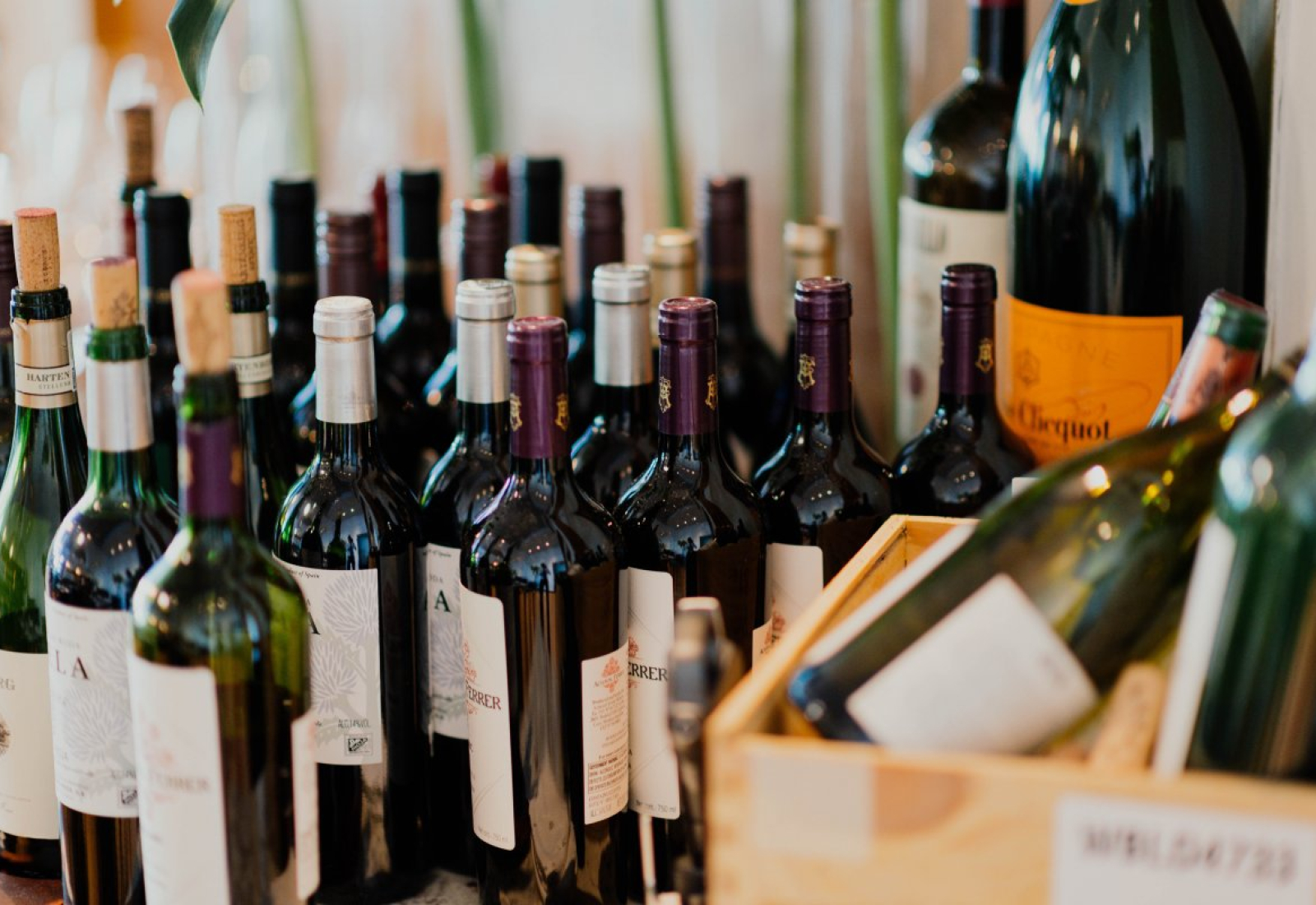 white-labeled-bottles-stockpack-unsplash.jpg white labeled bottles