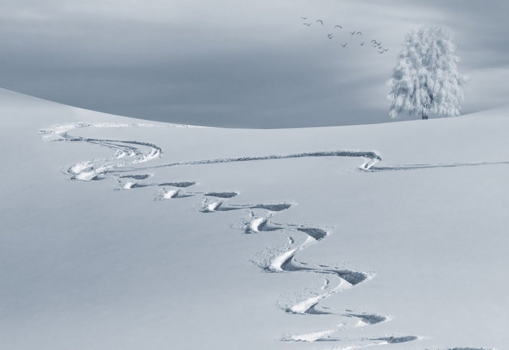 wintry-backcountry-skiiing-ski-tracks-stockpack-pixabay.jpg wintry, backcountry skiiing, ski tracks