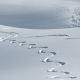 wintry, backcountry skiiing, ski tracks