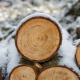 wood-woods-saw-stockpack-pixabay.jpg wood, woods, saw