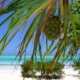 zanzibar-beach-sea-stockpack-pixabay.jpg zanzibar, beach, sea