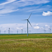 Fântânele-Cogealac_Wind_Farm_2011 Fântânele Cogealac Wind Farm 2011