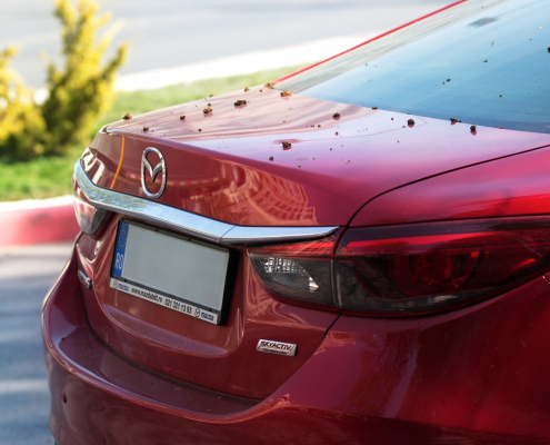 back-car-mazda-stockpack-pixabay.jpg back, car, mazda