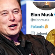 Bitcoin Price News Btc Spike Elon Musk Twitter Bio Gamestop 1390940
