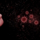 coronavirus-virus-spread-stockpack-pixabay.jpg coronavirus, virus, spread
