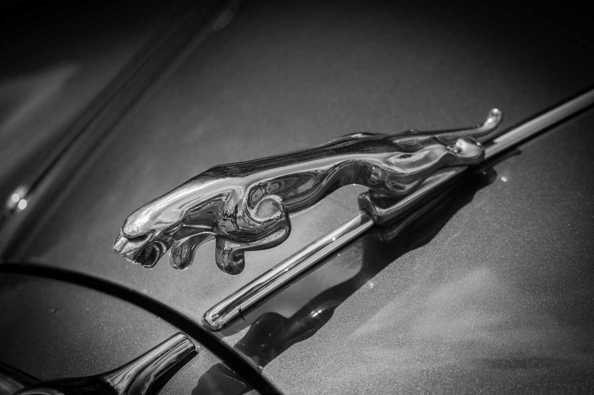 jaguar-figure-classic-stockpack-pixabay.jpg jaguar, figure, classic