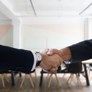 job, interview, handshake
