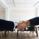 job, interview, handshake