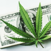Marijuanacash