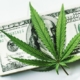 marijuanacash Marijuanacash