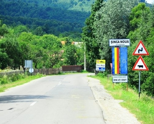 sinca-noua Sinca Noua