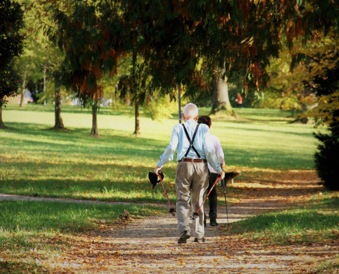 sport, nordic walking, park