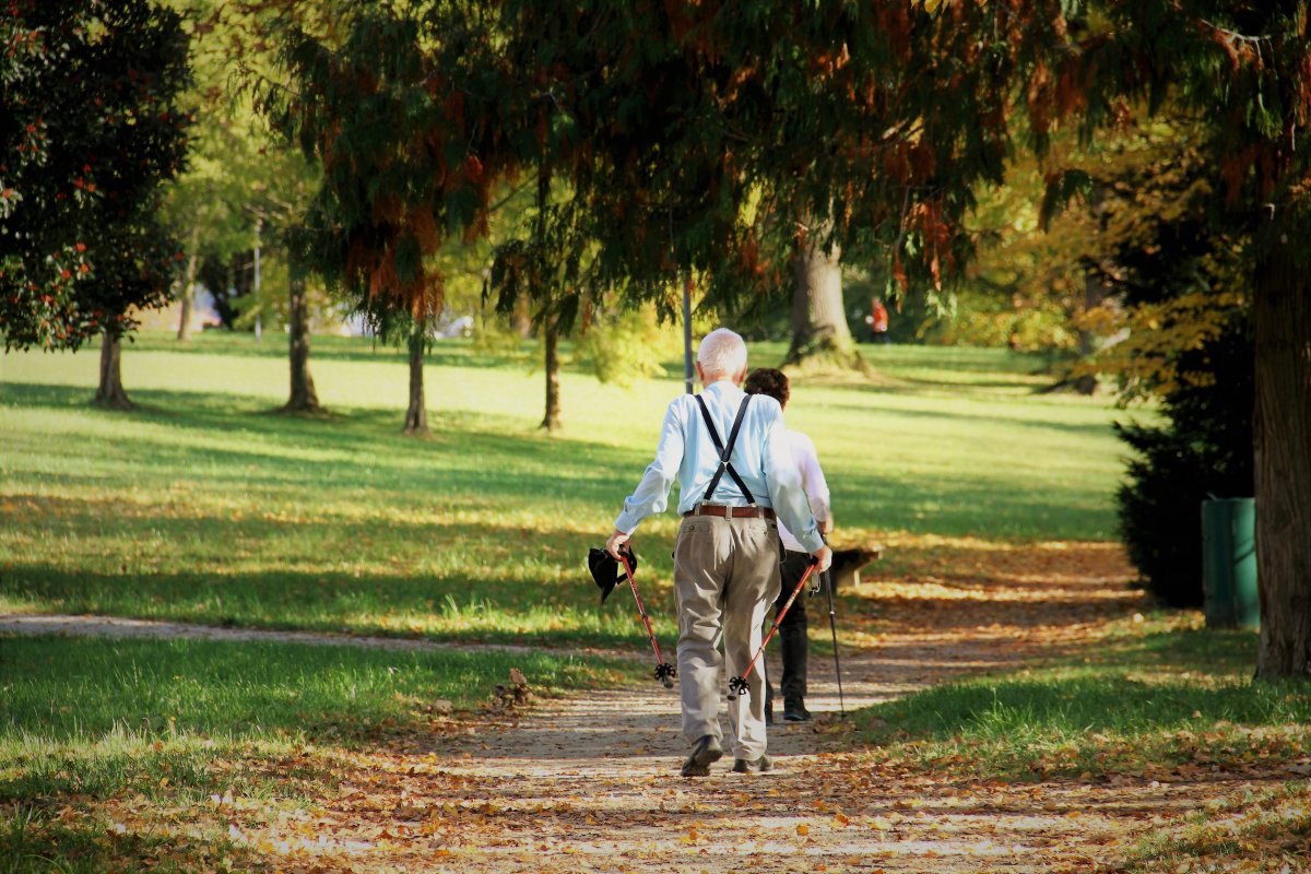 sport-nordic-walking-park-stockpack-pixabay.jpg sport, nordic walking, park