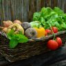 vegetables, vegetable basket, harvest