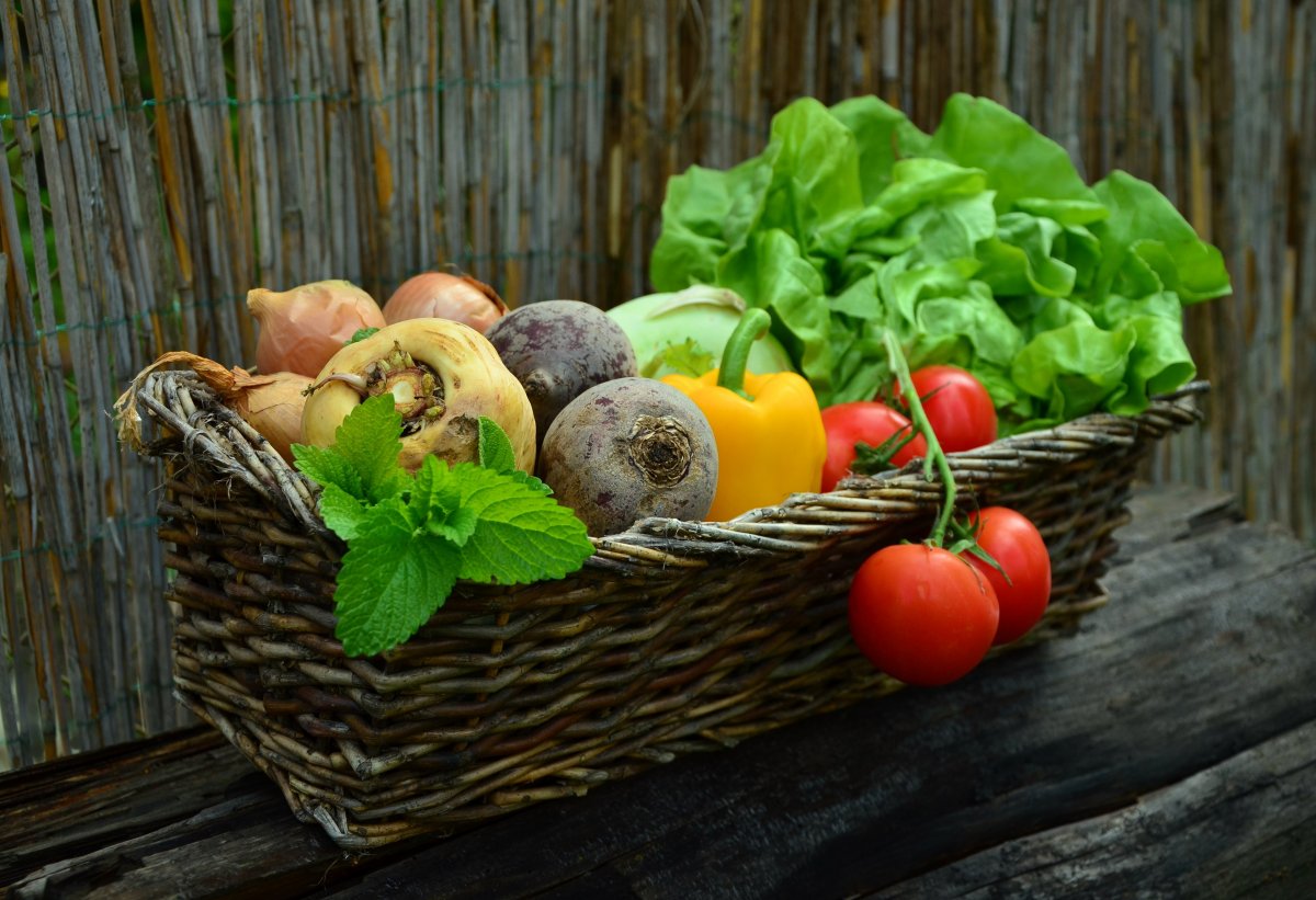 vegetables-vegetable-basket-harvest-stockpack-pixabay.jpg vegetables, vegetable basket, harvest