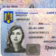 CI-specimen_26c81eb66f Ci Specimen 26c81eb66f