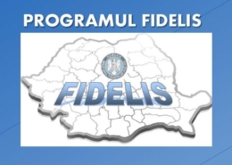 Fidelis Cover