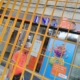ING Bank gratii Ing Bank Gratii