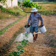 agricultor Agricultor