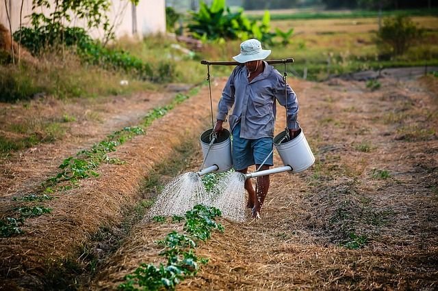 agricultor Agricultor