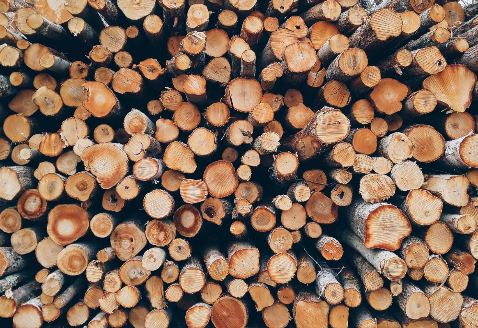 batch-dry-firewood-stockpack-pixabay.jpg batch, dry, firewood