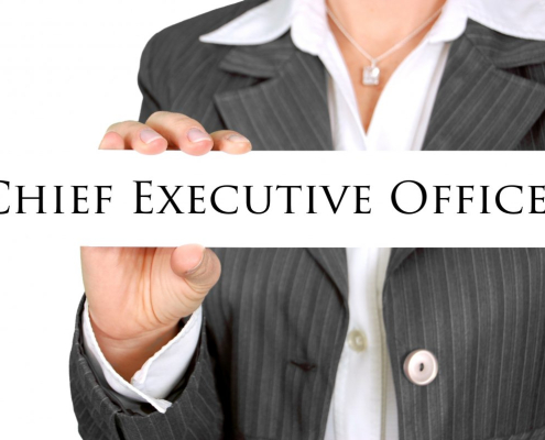 businesswoman-ceo-manager-stockpack-pixabay.jpg businesswoman, ceo, manager
