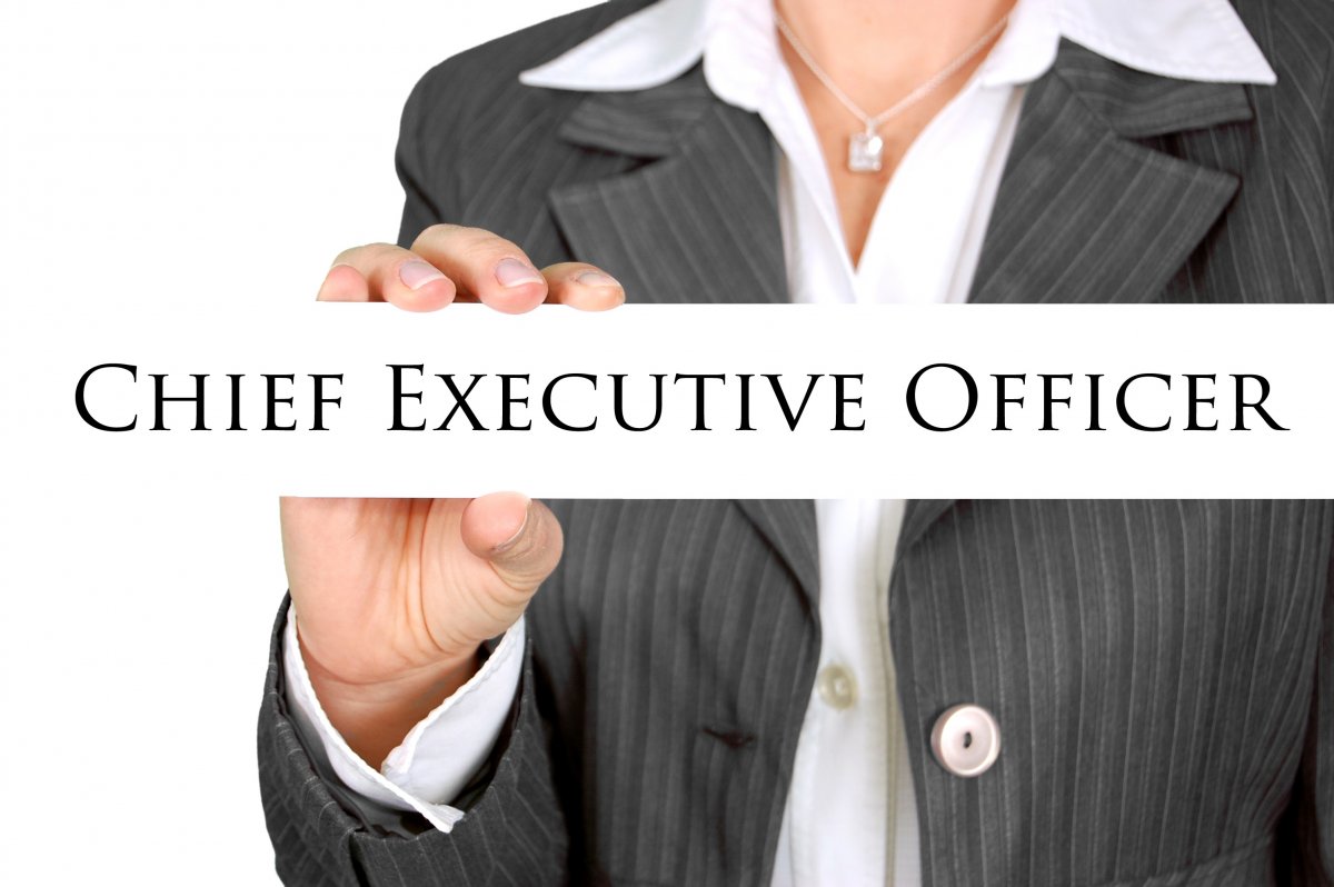 businesswoman-ceo-manager-stockpack-pixabay.jpg businesswoman, ceo, manager