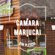 camara Mariucai Plescoi Camara Mariucai Plescoi