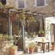 greek-restaurant-flowers-stockpack-pixabay.jpg greek, restaurant, flowers