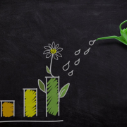 investment-growth-watering-stockpack-pixabay.jpg investment, growth, watering