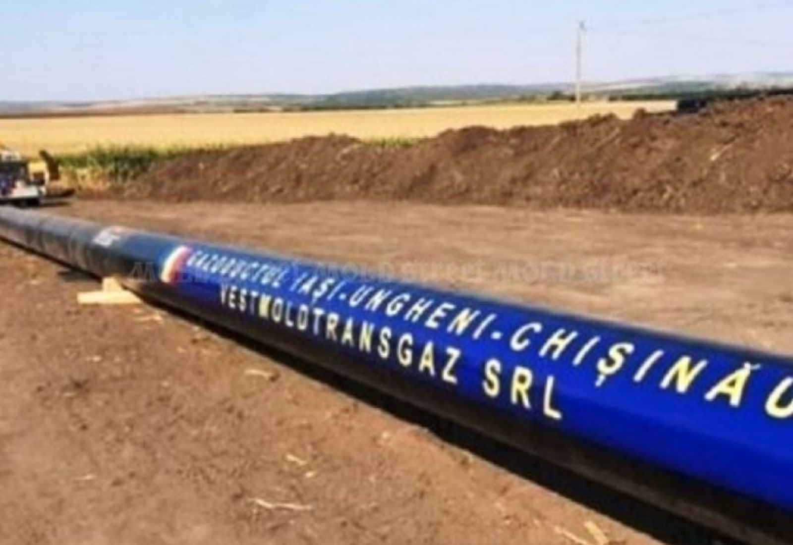 vestmoldtransgaz Vestmoldtransgaz