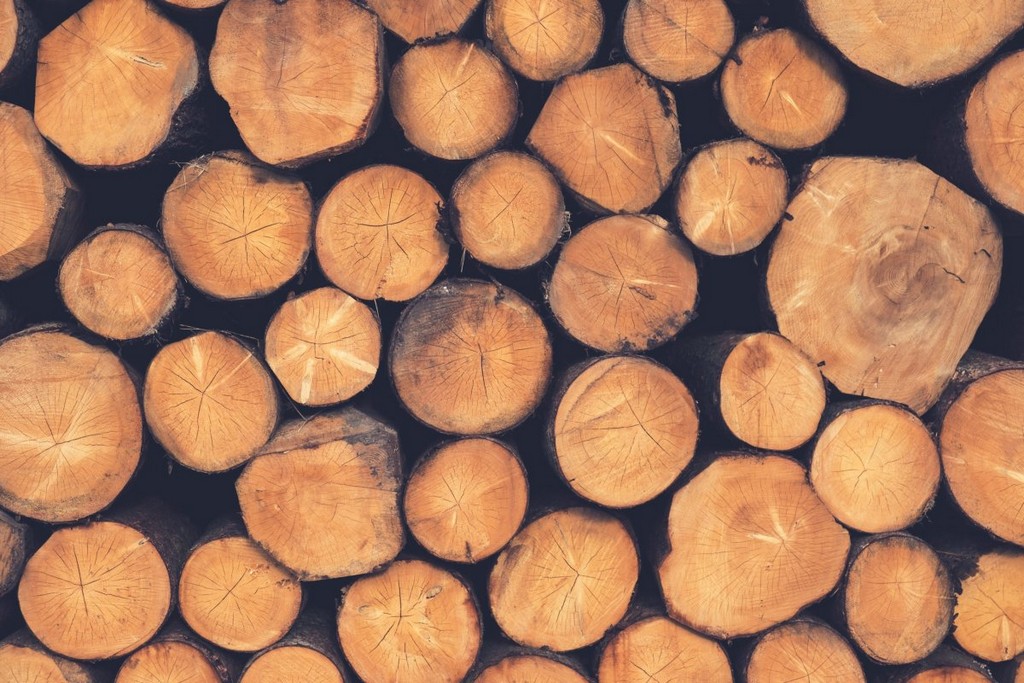 wood-logs-lumber-stockpack-pixabay.jpg wood, logs, lumber