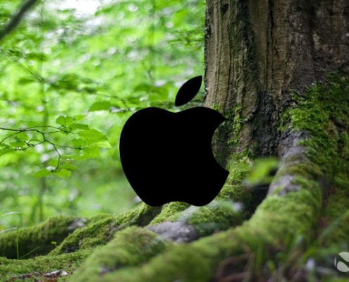 1618497322_apple-tree_story 1618497322 Apple Tree Story